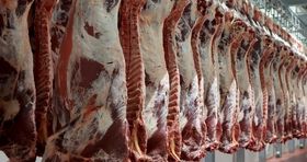 ورود گسترده گوشت قرمز به بازار ایران (۱۸ خرداد)