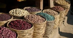 عامل اصلی گرانی شدید حبوبات معرفی شد