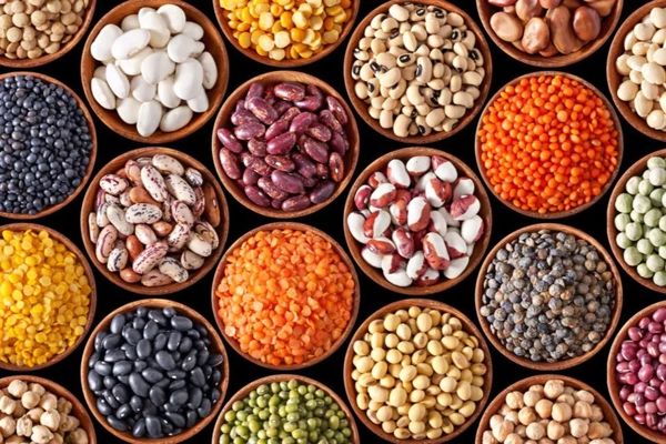 قیمت حبوبات امروز نسبت به روز گذشته با تغییرات کمی همراه شد.
